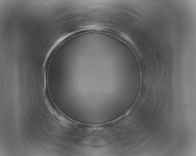 X0000058781323200510171243