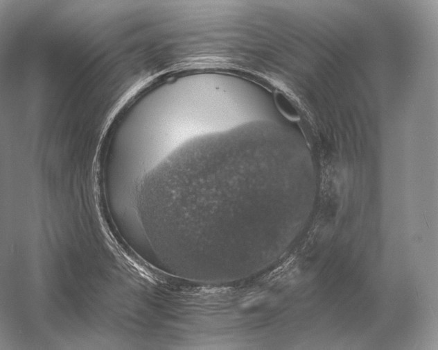 X0000058781325200510171243