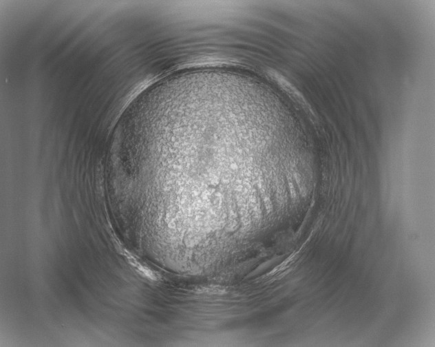 X0000058781329200510171243