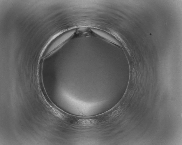 X0000058781331200510171243