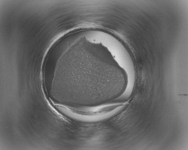 X0000058781335200510171243