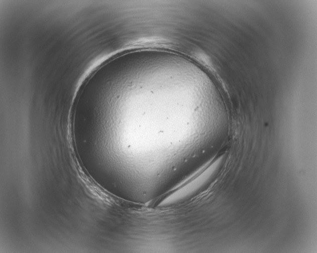 X0000058781336200510171243