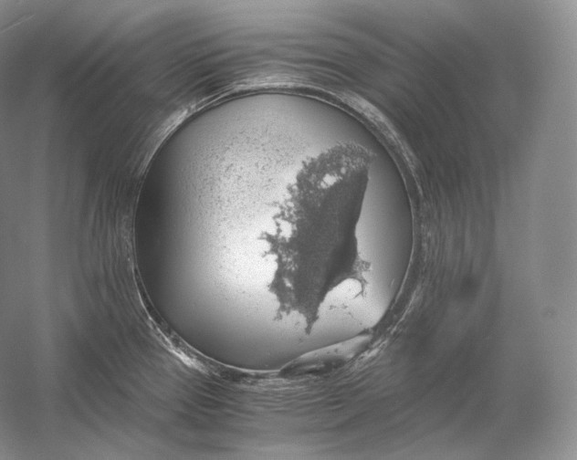 X0000058781337200510171243