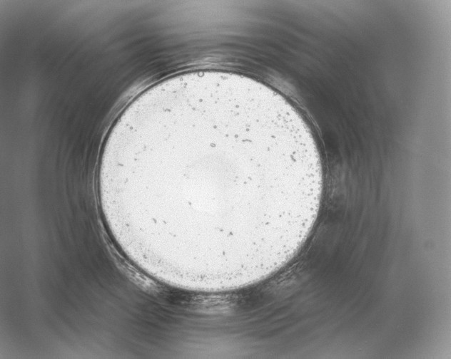 X0000058781338200510171243