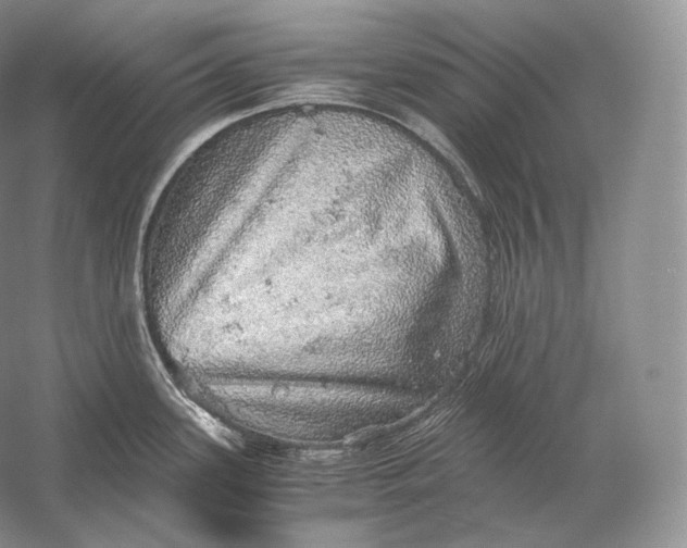 X0000058781339200510171243