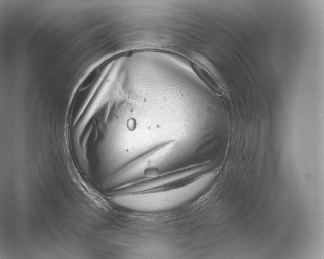 X0000058781340200510171243