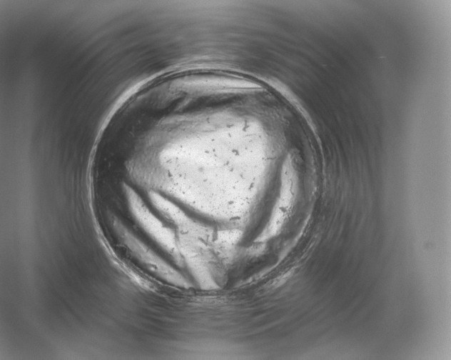 X0000058781341200510171243