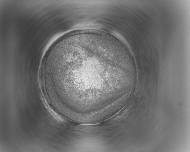 X0000058781344200510171243