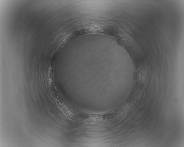 X0000058781346200510171242