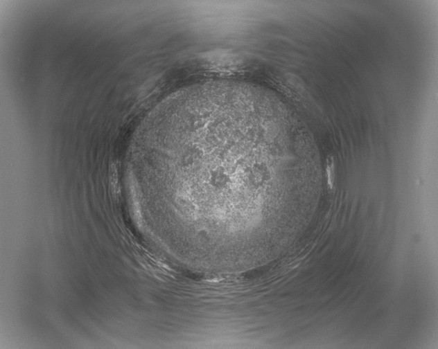 X0000058781347200510171242