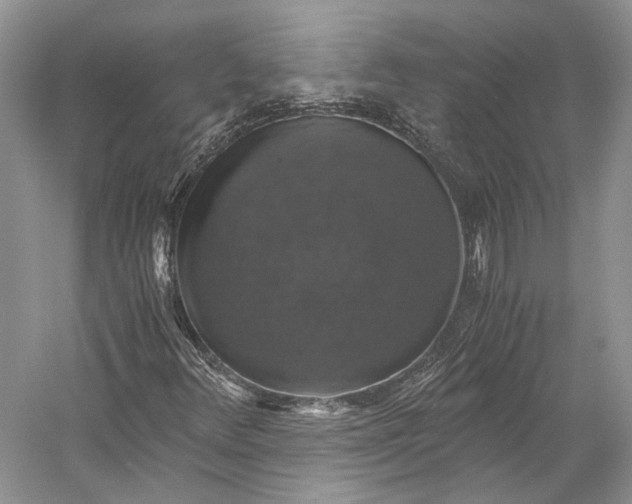 X0000058781348200510171242