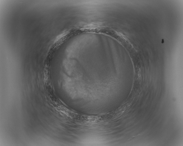 X0000058781350200510171242