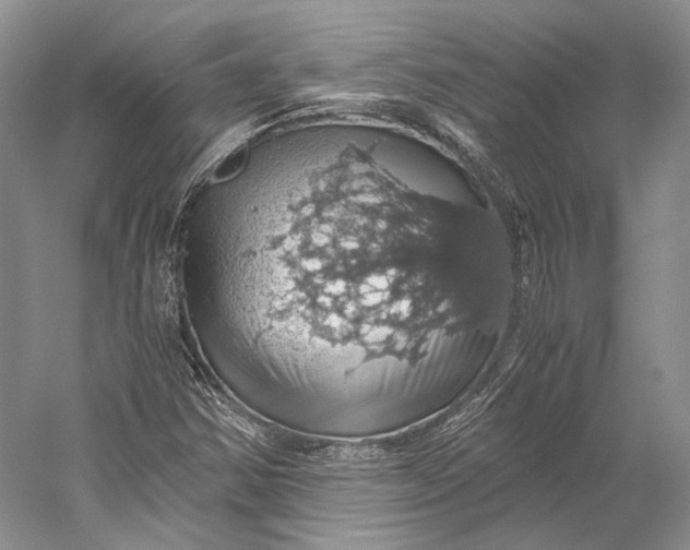 X0000058781354200510171242