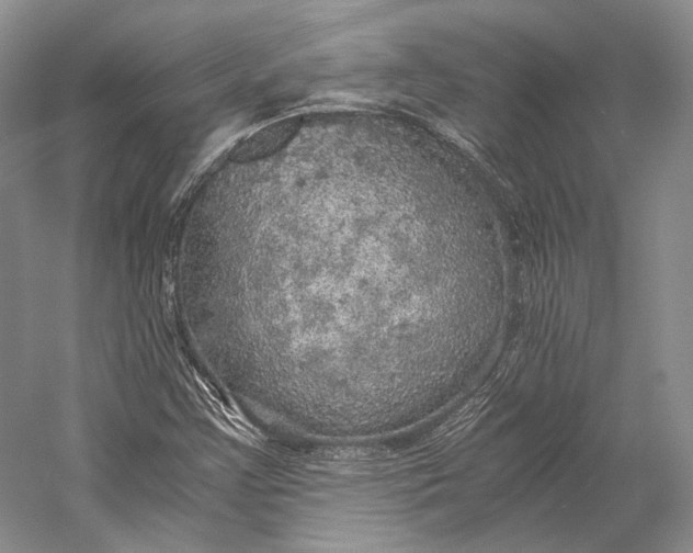 X0000058781355200510171242