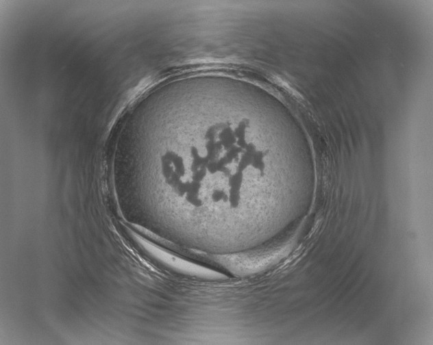 X0000058781357200510171242