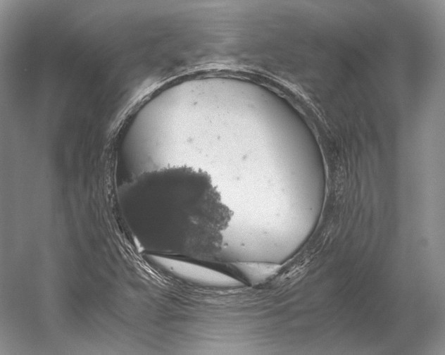 X0000058781359200510171242