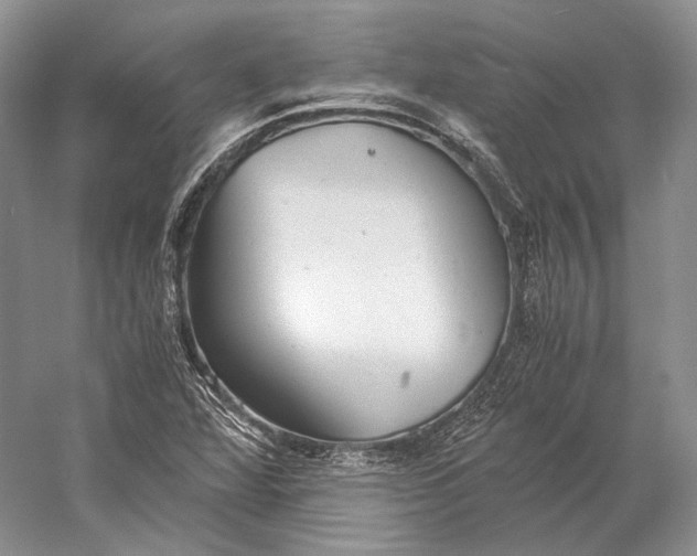 X0000058781360200510171242