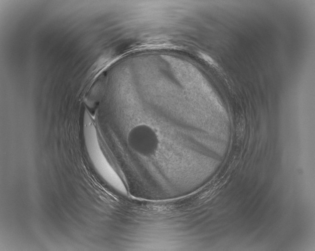 X0000058781361200510171242