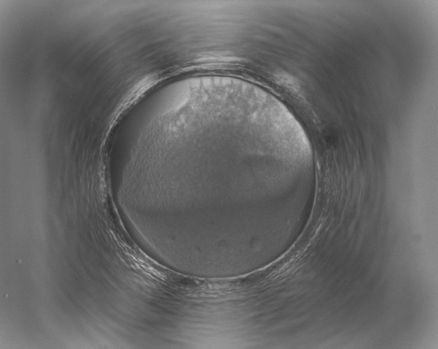 X0000058781362200510171242