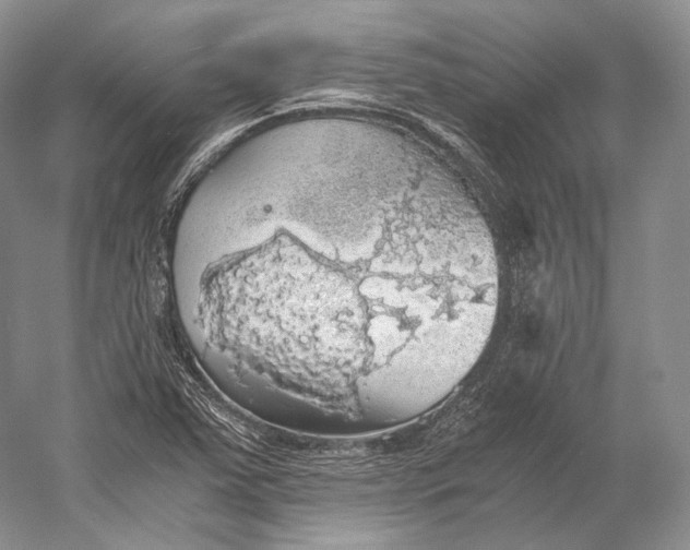 X0000058781363200510171242