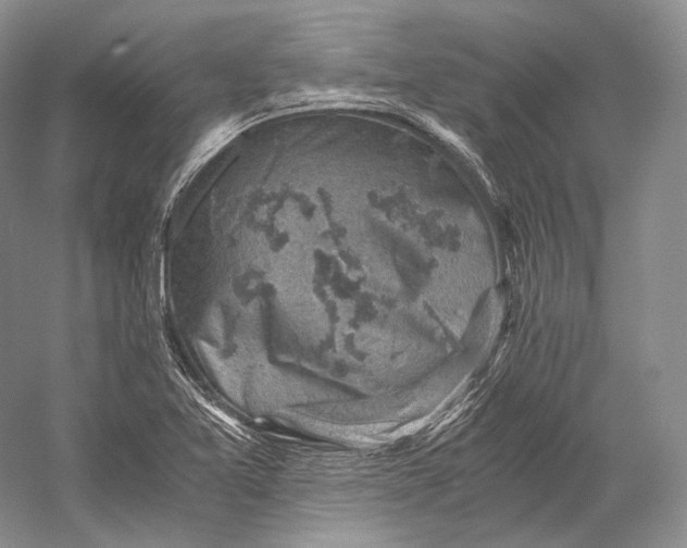 X0000058781365200510171242