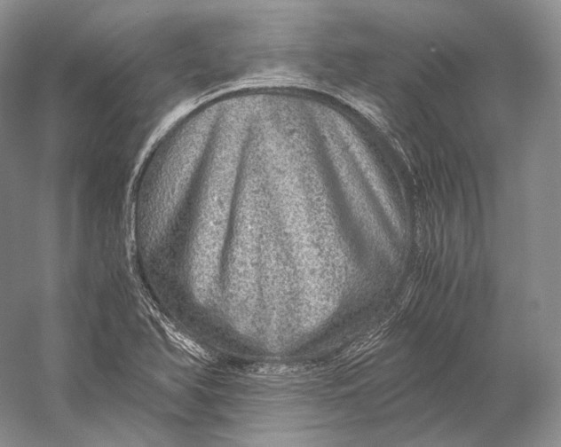 X0000058781366200510171242