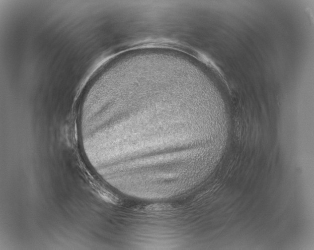 X0000058781368200510171242