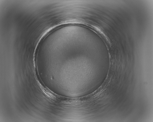 X0000058781372200510171242