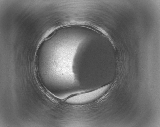 X0000058781373200510171242