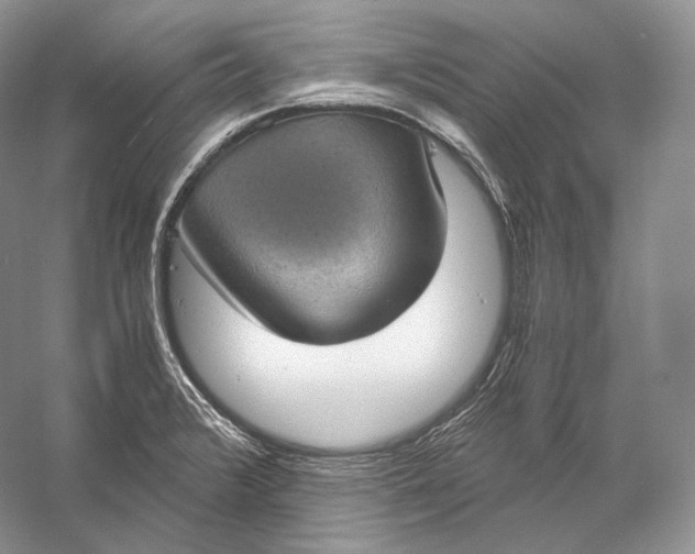 X0000058781376200510171242