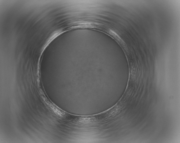 X0000058781378200510171242