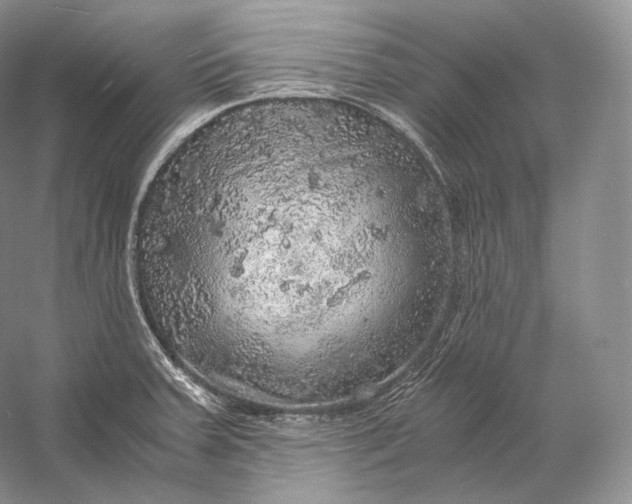 X0000058781379200510171242