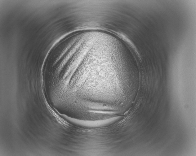 X0000058781380200510171241