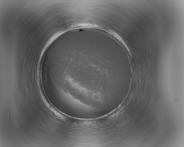 X0000058781381200510171241