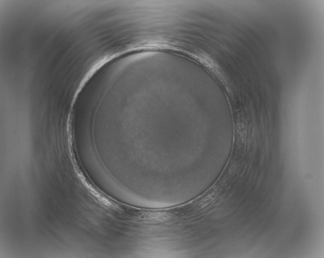 X0000058781382200510171241