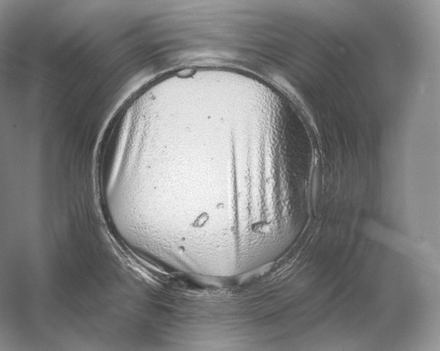 X0000058781384200510171241