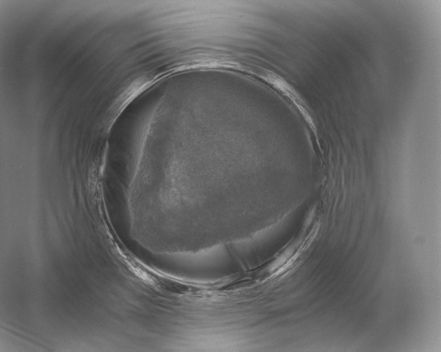 X0000058781385200510171241