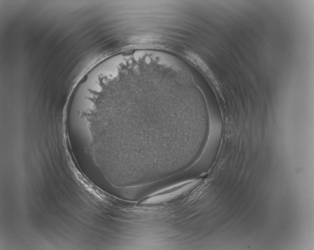 X0000058781386200510171241