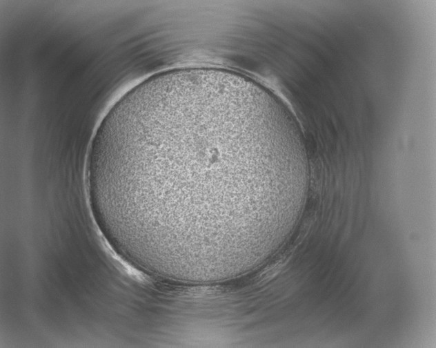 X0000058781387200510171241