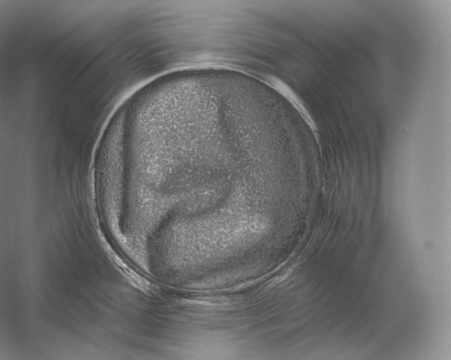 X0000058781388200510171241