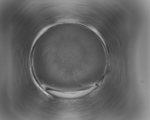 X0000058781389200510171241