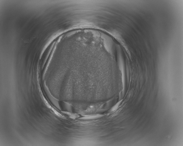 X0000058781390200510171241