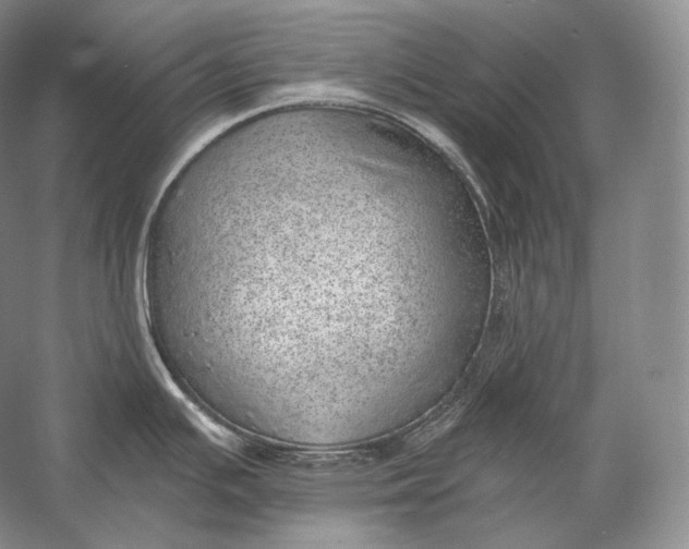 X0000058781391200510171241