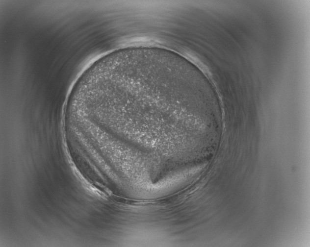 X0000058781392200510171241