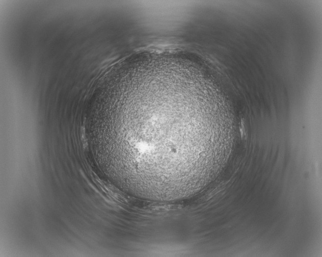 X0000058781396200510171240