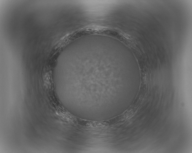 X0000058781397200510171241