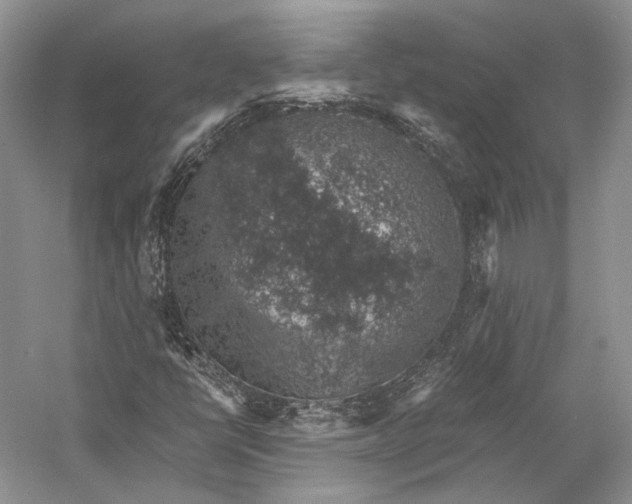 X0000058781398200510171241