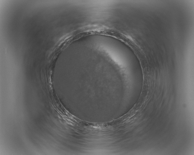 X0000058781399200510171241