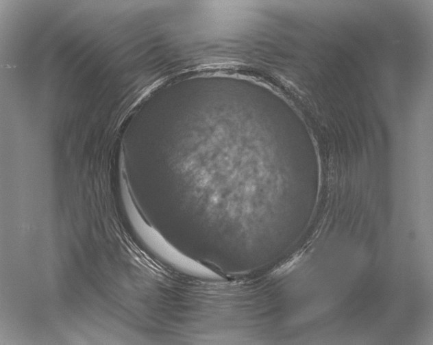 X0000058781401200510171241