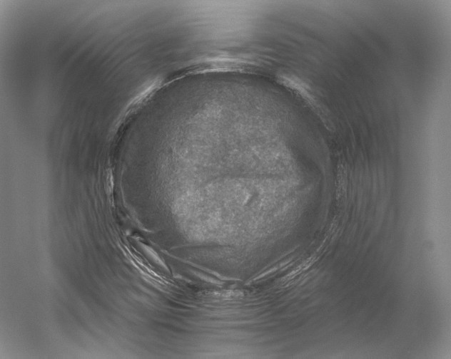 X0000058781403200510171241